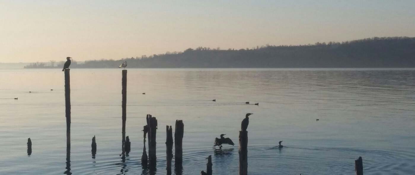 Alba del 18 febbraio