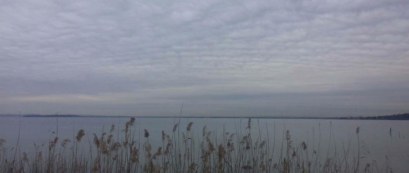 Alba del 25 febbraio