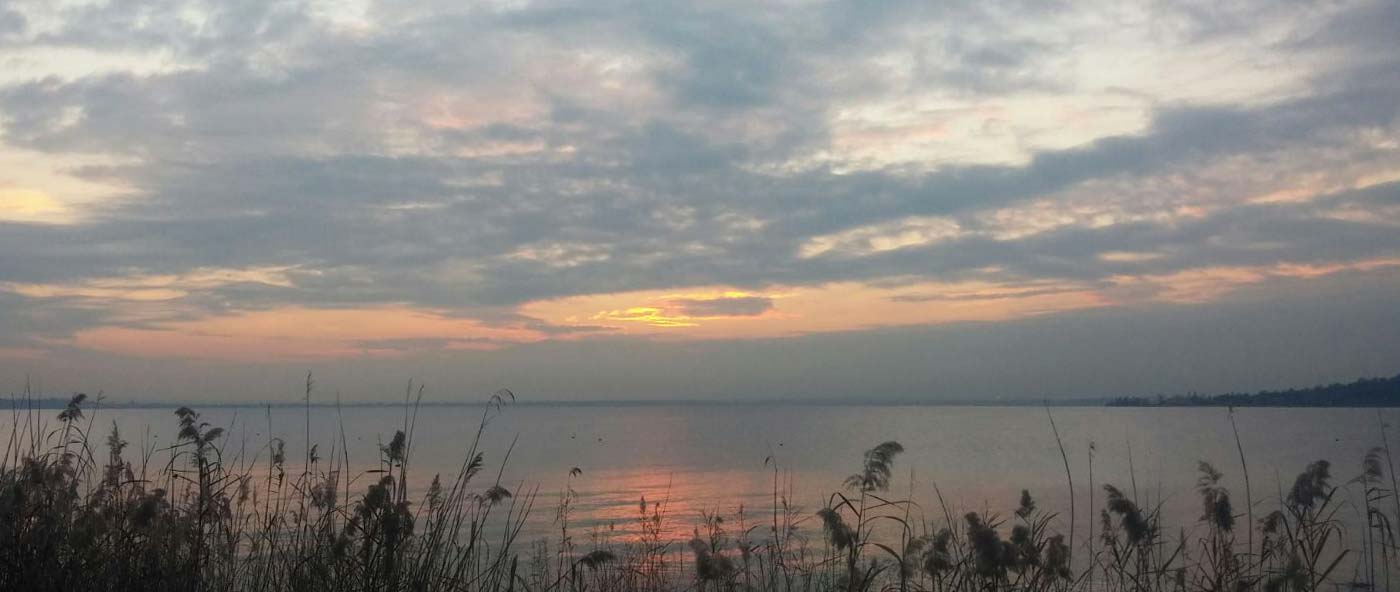 Alba del 14 dicembre