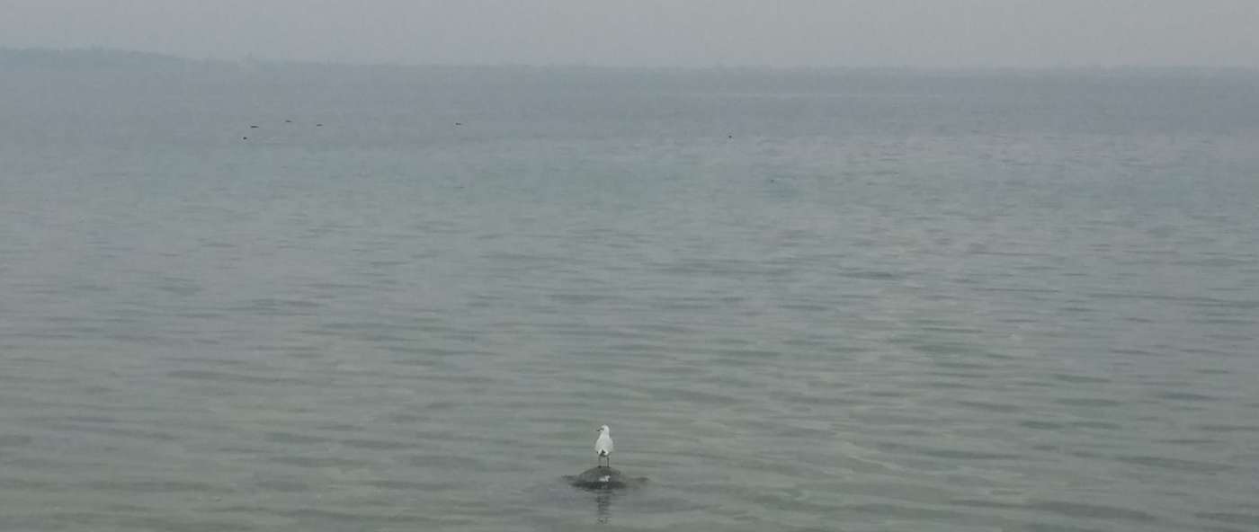 Alba del 20 novembre