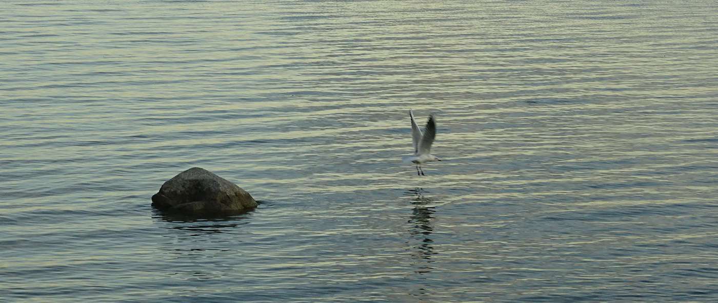 Tramonto del 16 ottobre